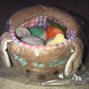 Nordstorm My 1St‎ Easter Basket With Plushes Chick Egg Carrot NWT